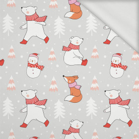 ZIMNÍ PROCHÁZKA (ZIMNÍ HRA) - Organická Teplákovina