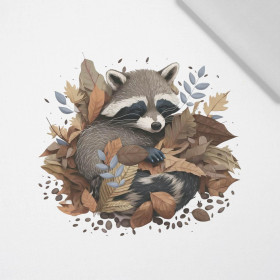 SLEEPING RACCOON - Paneel (75cm x 80cm) bavlněná tkanina