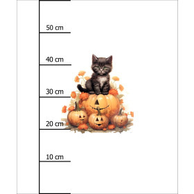HALLOWEEN CAT - panel (60cm x 50cm) teplákovina počesaná s elastanem ITY