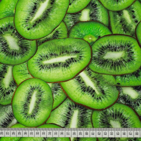 KIWI - dresówka pętelkowa SP250