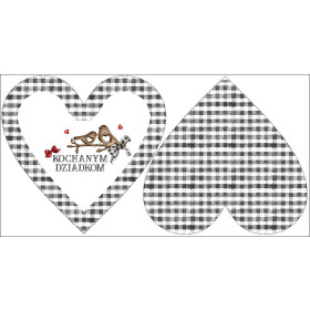 OZDOBNÝ POLŠTÁŘ SRDCE - Für liebe Großeltern / MINI KOSTKA VICHY
