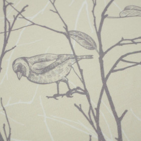 PTÁCI / béžová - teplákovina 