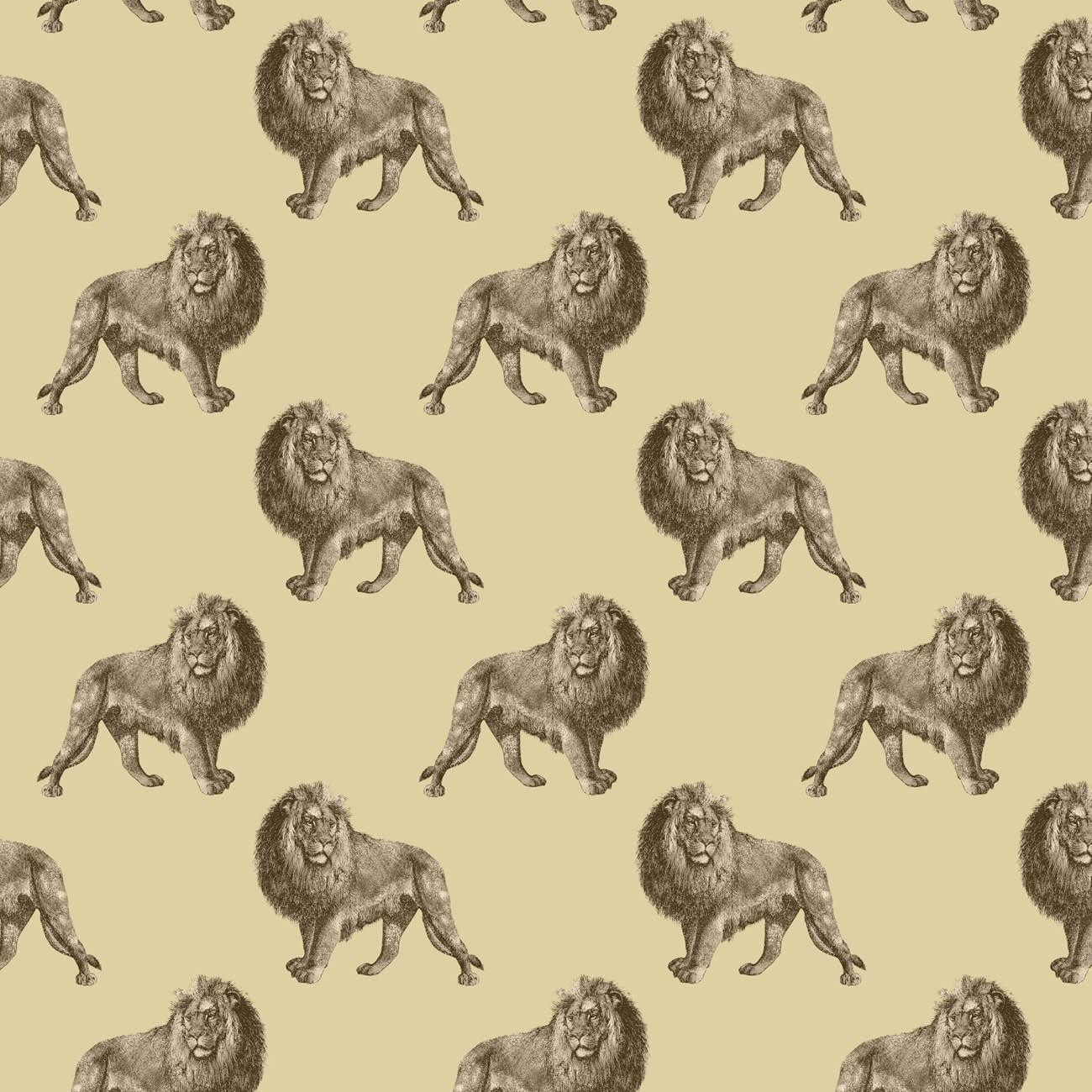 LIONS (SAFARI)