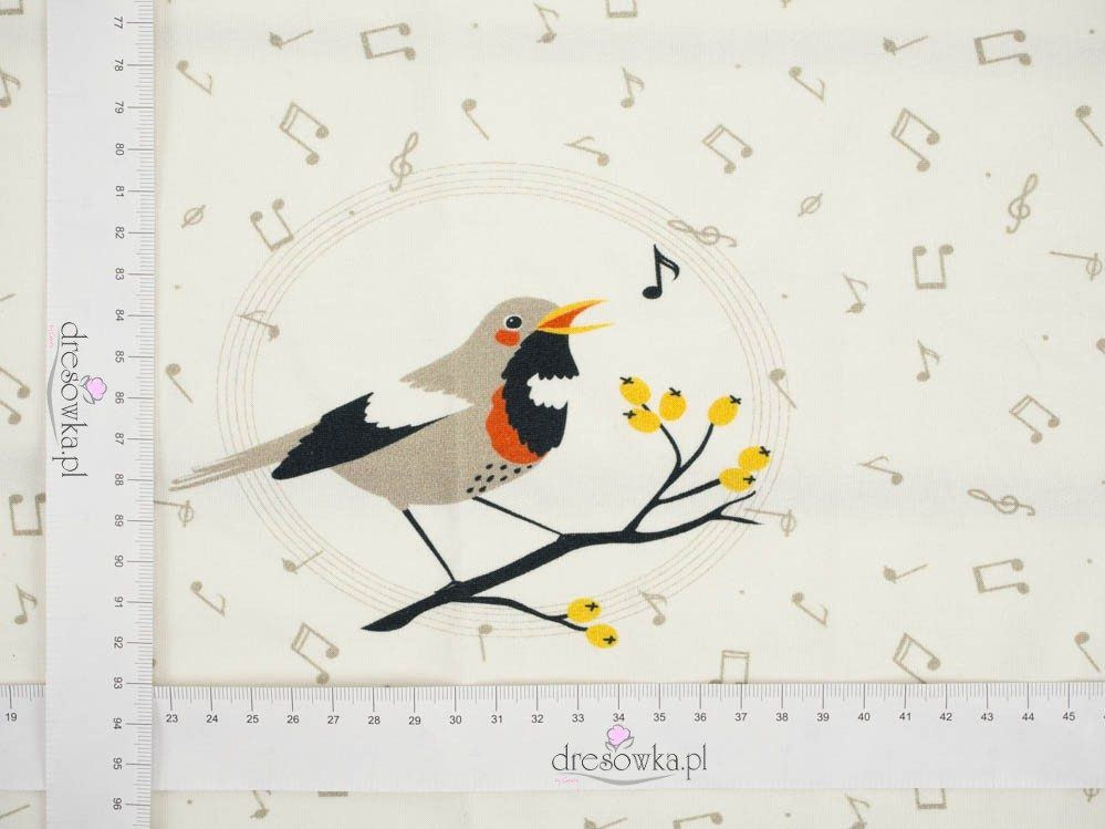 BIRDS TUNES / dirty white - panel single jersey TE210