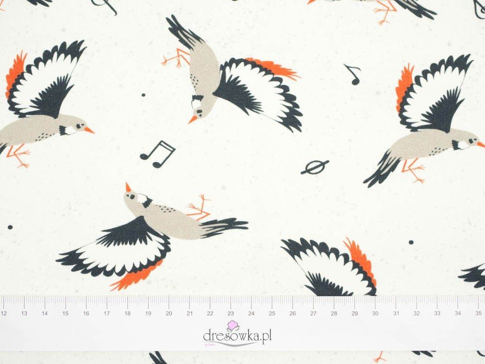 50CM BIRDS TUNES / dirty white - single jersey with elastane - single jersey with elastane TE210