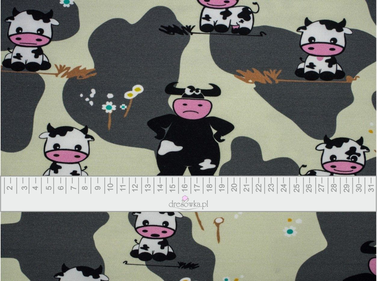 COWS ON BEIGE - single jersey with elastane TE210