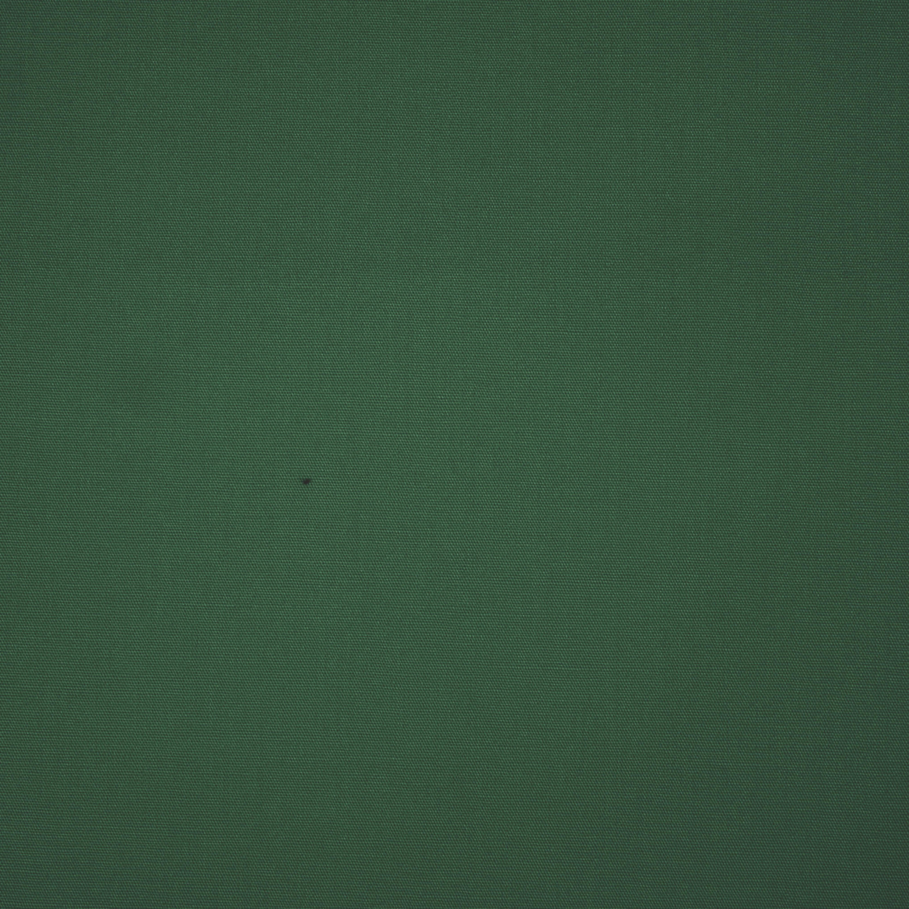 BOTTLED GREEN - Cotton woven fabric