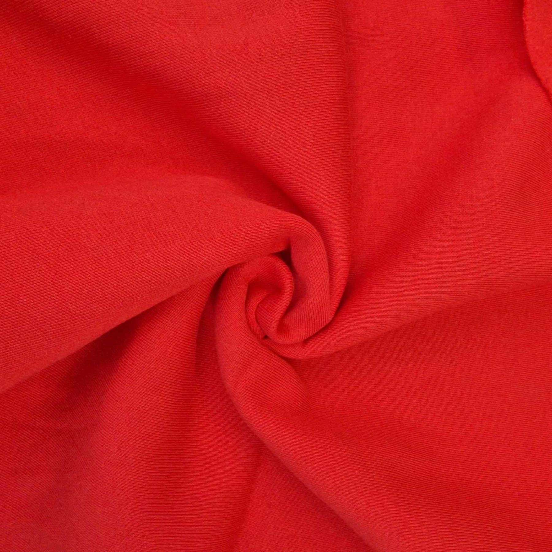 Thick brushed sweatshirt D300 - RED (D-18)