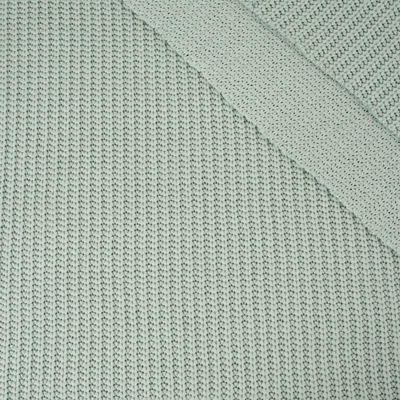 MINT - Cotton sweater knit fabric