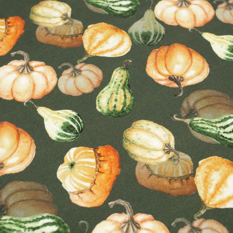 PUMPKINS AND ZUCCHINI / olive (PUMPKIN GARDEN) - looped knit fabric