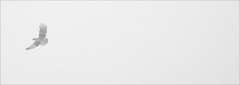 GEOMETRIC EAGLE (ADVENTURE) / white - SINGLE JERSEY PANORAMIC PANEL 
