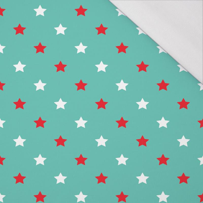 DIAGONAL RED STARS / mint - single jersey with elastane 