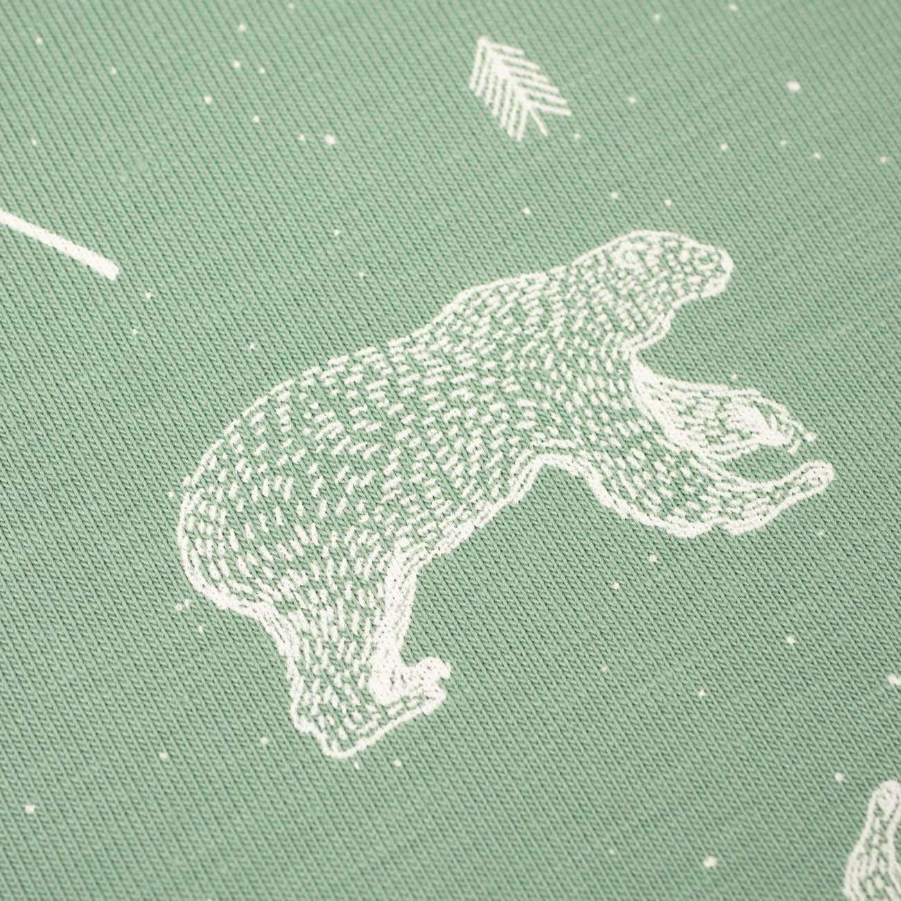 BEARS (CONTOUR) / modern mint - single jersey