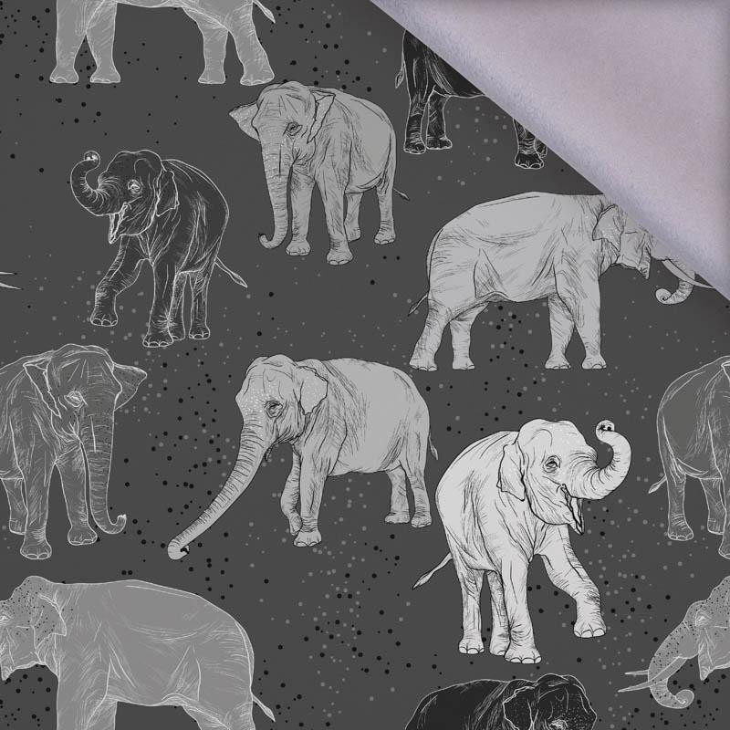 ELEPHANTS - softshell