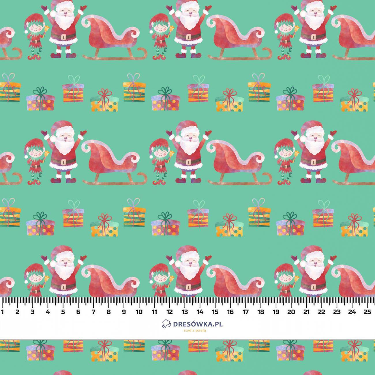 SANTA AND SLEIGH (CHRISTMAS FRIENDS) - lycra 300g
