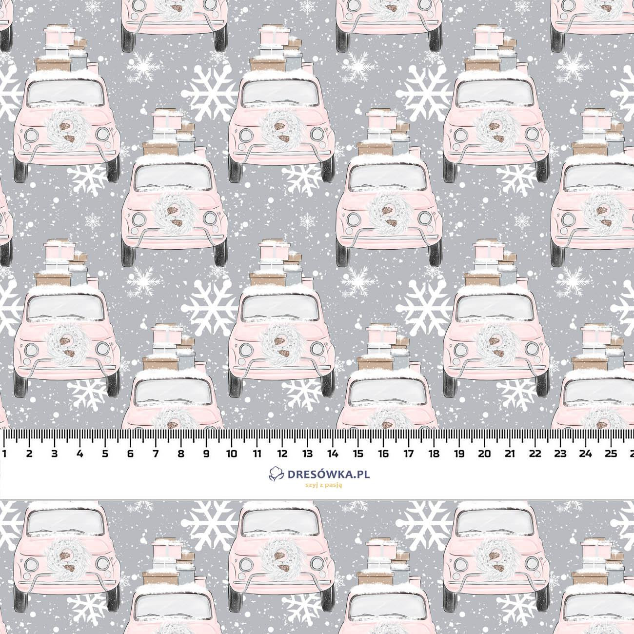 SNOWY CARS (WINTER)  - Waterproof woven fabric