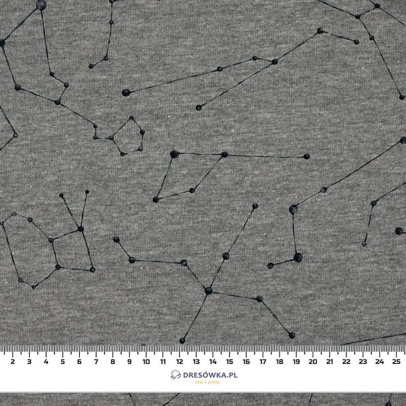 CONSTELLATIONS pat. 2 (GALACTIC ANIMALS) / öko melange - looped knit fabric