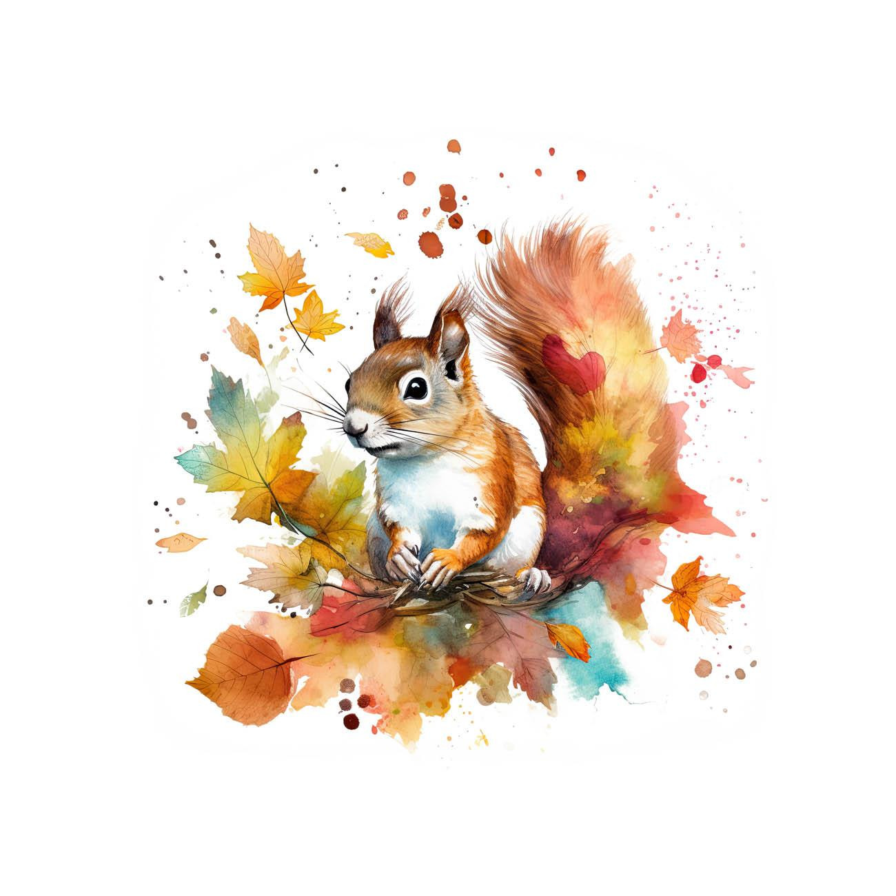 WATERCOLOR SQUIRREL - panel (60cm x 50cm)