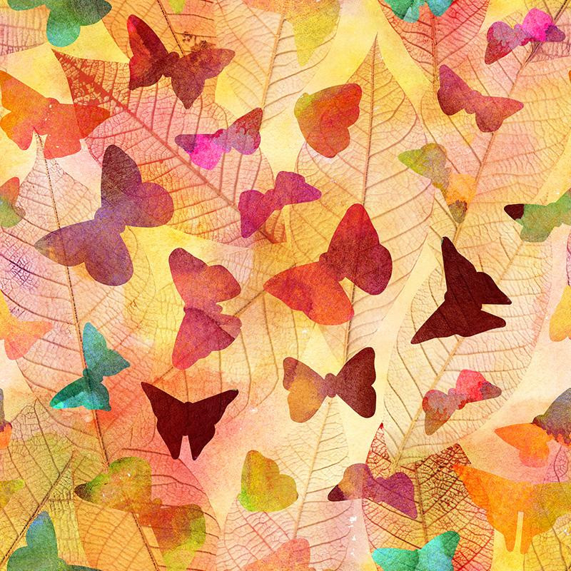 COLORFUL BUTTERFLIES