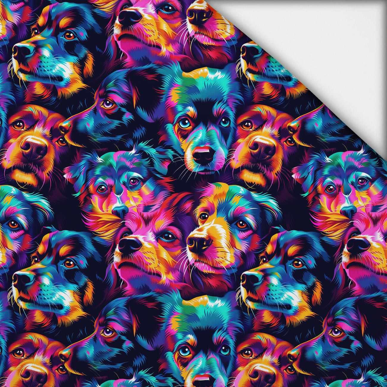 COLORFUL DOGS - light brushed knitwear