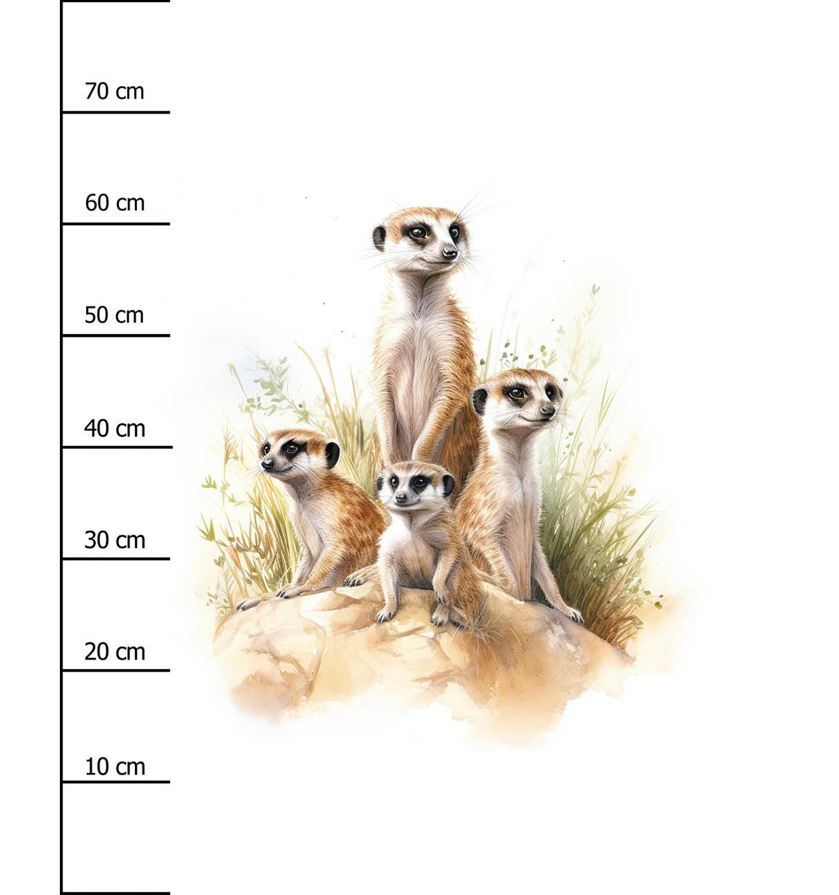 WATERCOLOR MEERKAT - panel (75cm x 80cm) brushed knitwear with elastane ITY