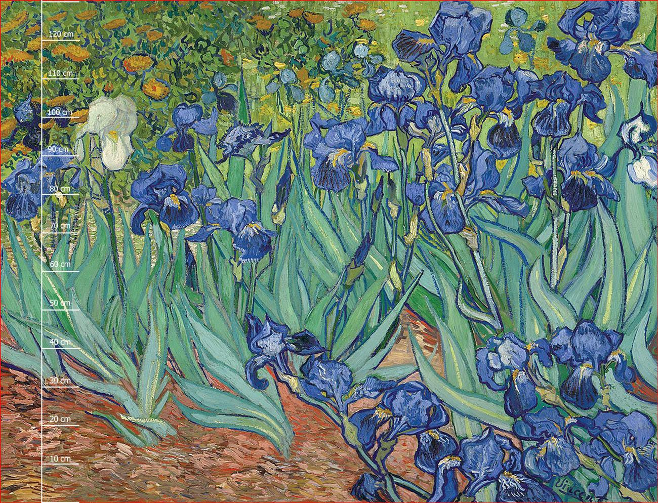 IRISES (Vincent van Gogh) - dress panel 
