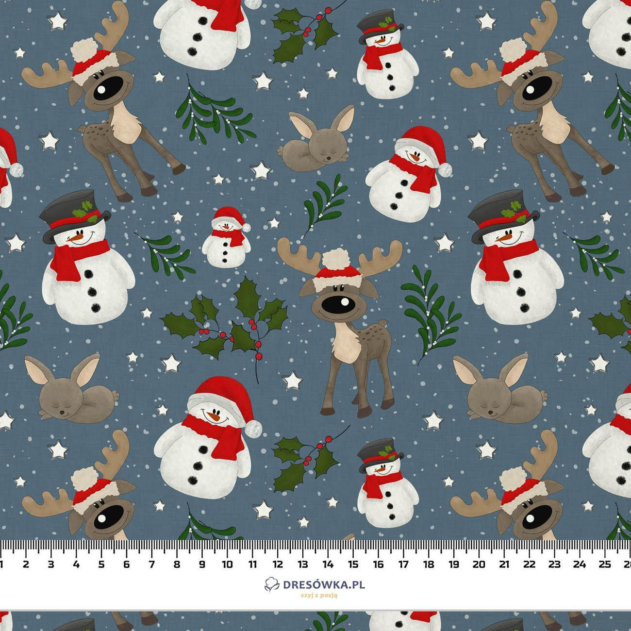 SNOWMEN AND REINDEERS / jeans (WINTER SQUAD) - brushed knitwear with elastane ITY