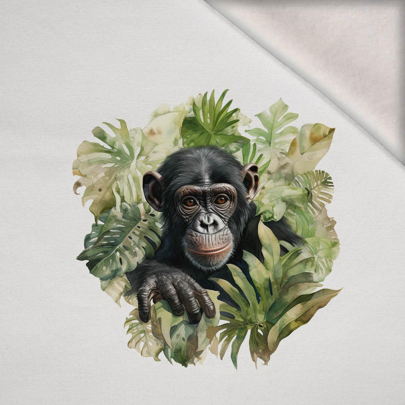 WATERCOLOR MONKEY -  PANEL (60cm x 50cm) brushed knitwear with elastane ITY