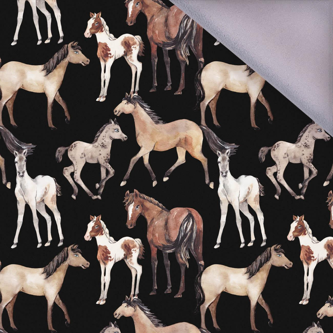 HORSES / black - softshell