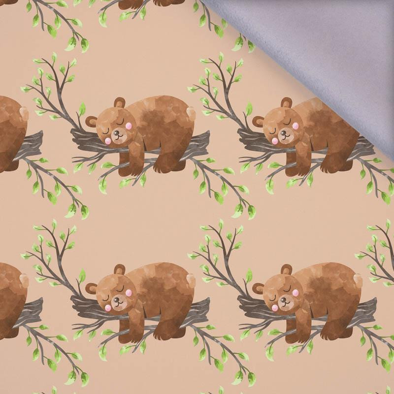 SLEEPING BEARS (BEARS AND BUTTERFLIES) - softshell