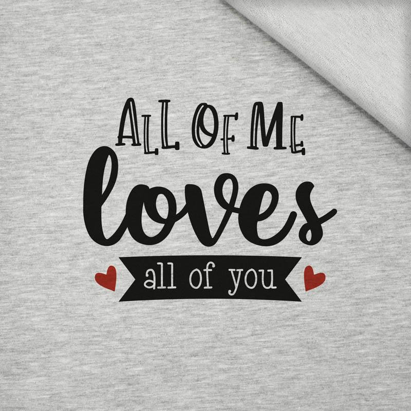 ALL OF ME LOVES ALL OF YOU (BE MY VALENTINE) / M-01 melange light grey - panel looped knit 50cm x 60cm