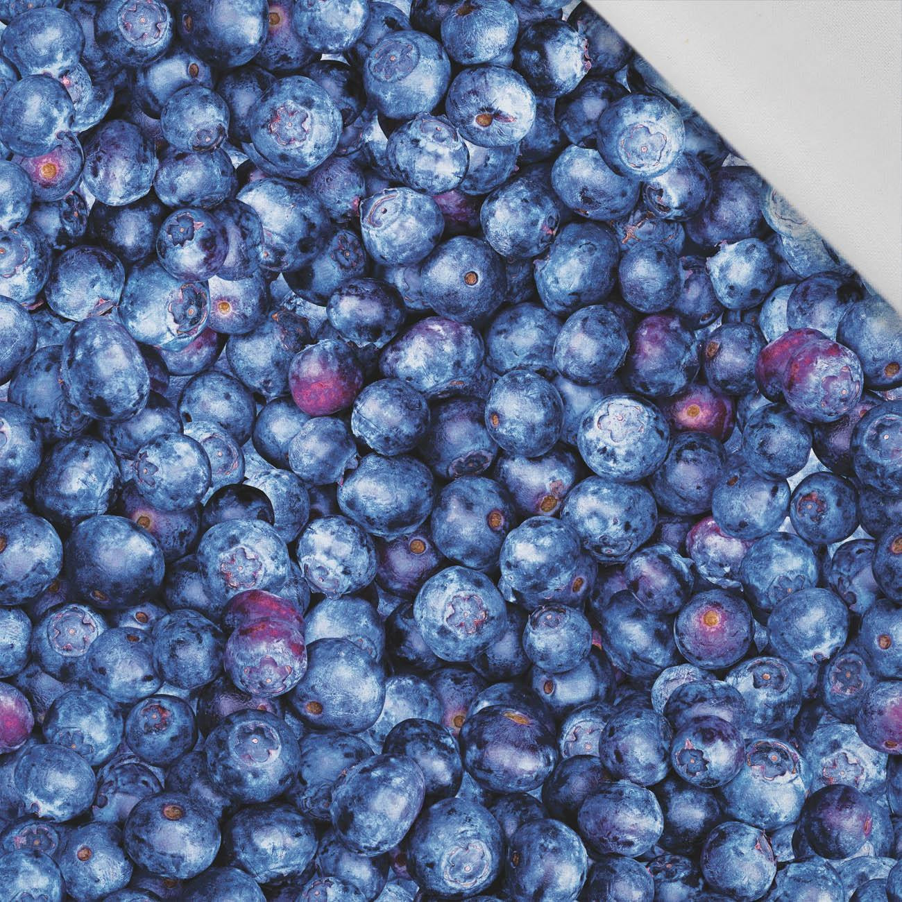 100CM BLUEBERRIES - Cotton woven fabric