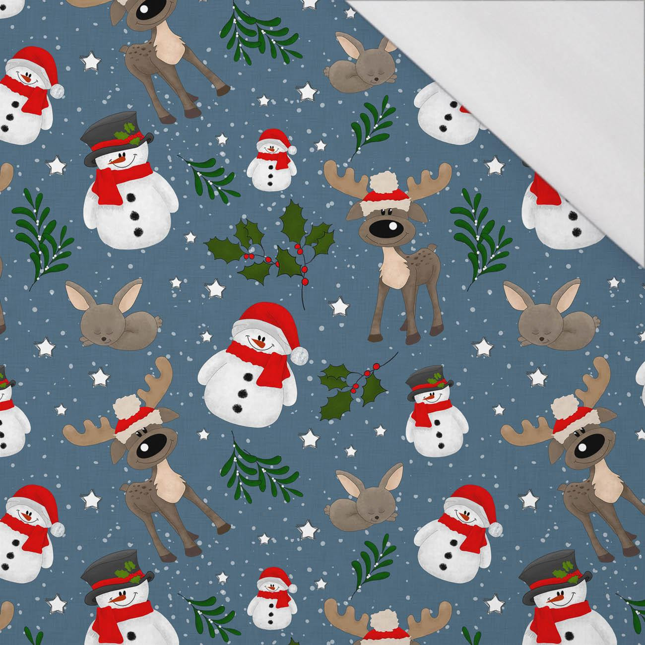 SNOWMEN AND REINDEERS / jeans (WINTER SQUAD) - single jersey with elastane 