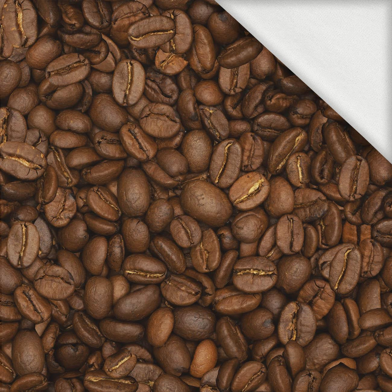 COFFEE BEANS - looped knit fabric with elastane