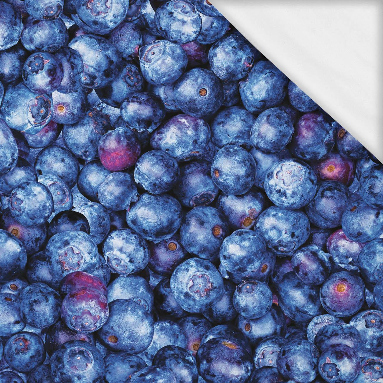 BLUEBERRIES- single jersey with elastane