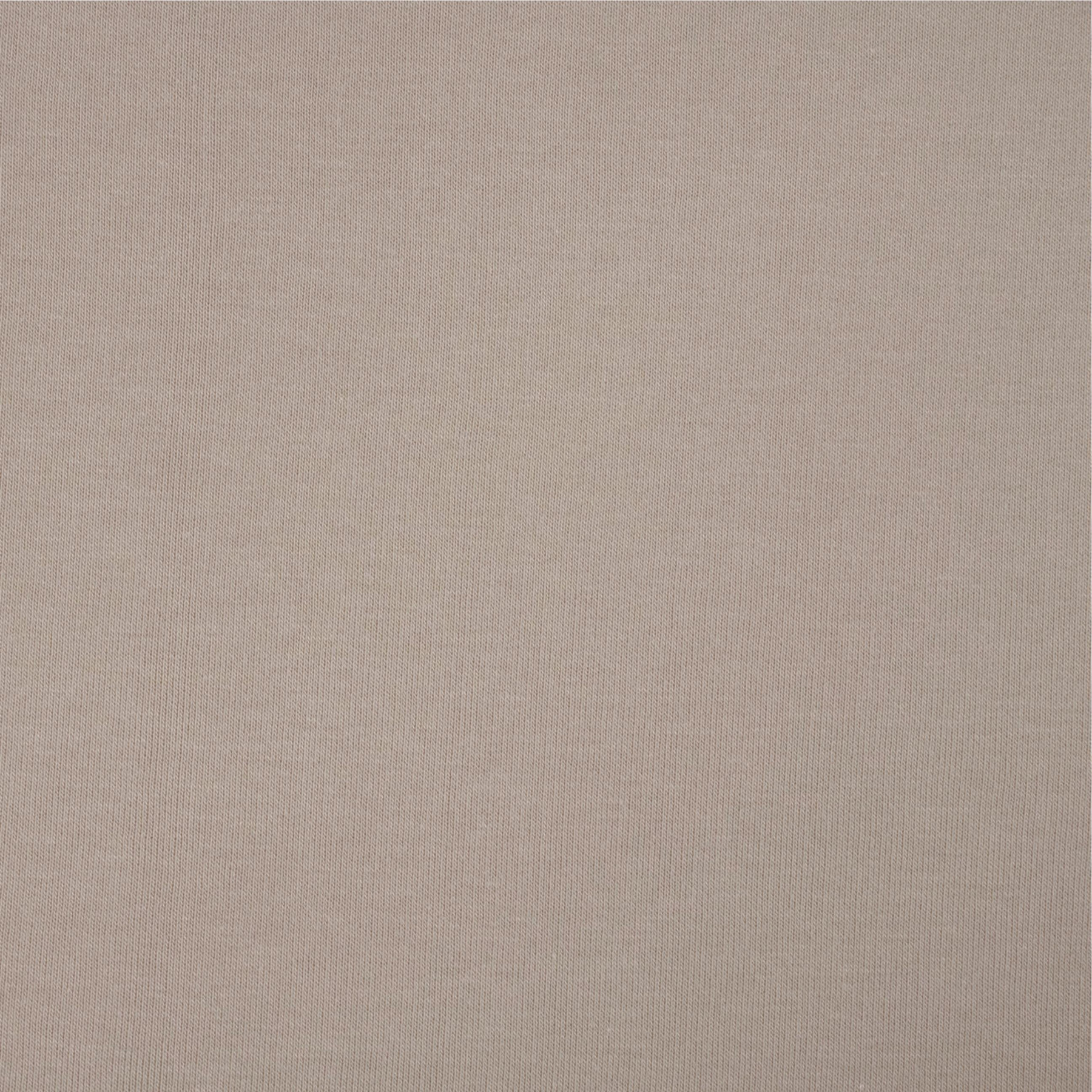 Thick brushed sweatshirt D300 - GREIGE LIGHT (D-40)