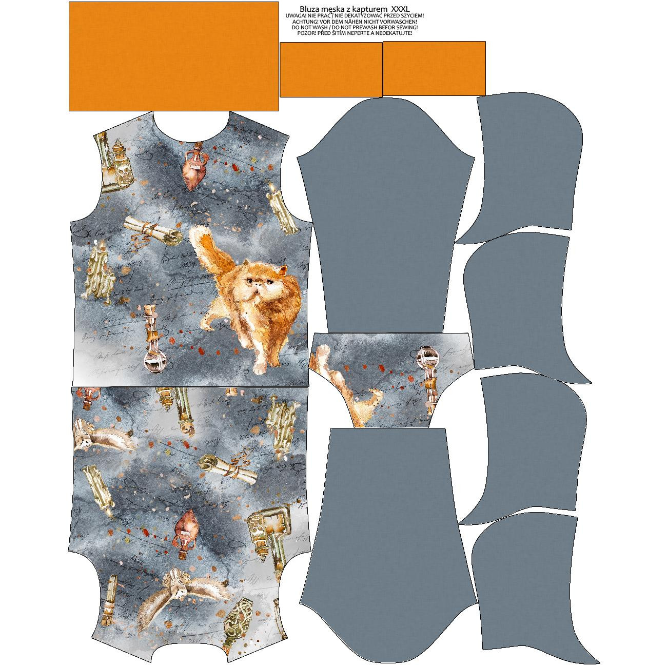 MEN’S HOODIE (COLORADO) - CAT (MAGIC) - sewing set 