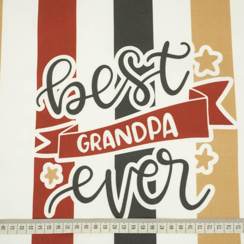CUSHION PANEL - Best grandpa ever/ stripes - HOME DECOR PREMIUM 