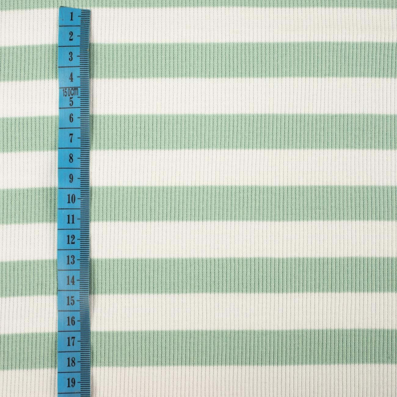 STRIPES / MINT - Ribbed knit fabric