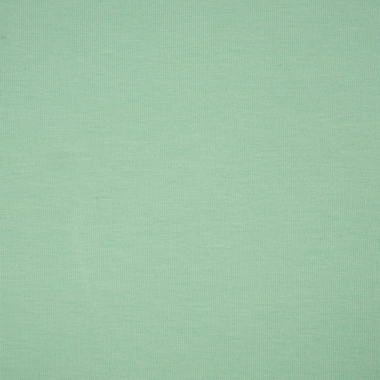 D-696 MINT - t-shirt with elastan TE210