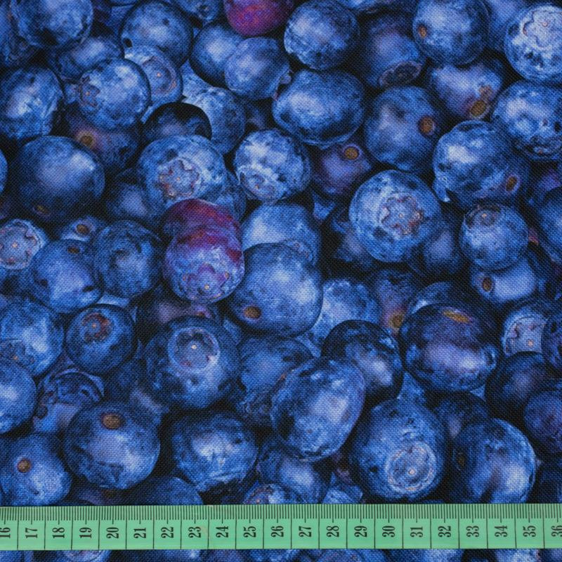 BLUEBERRIES - Waterproof woven fabric