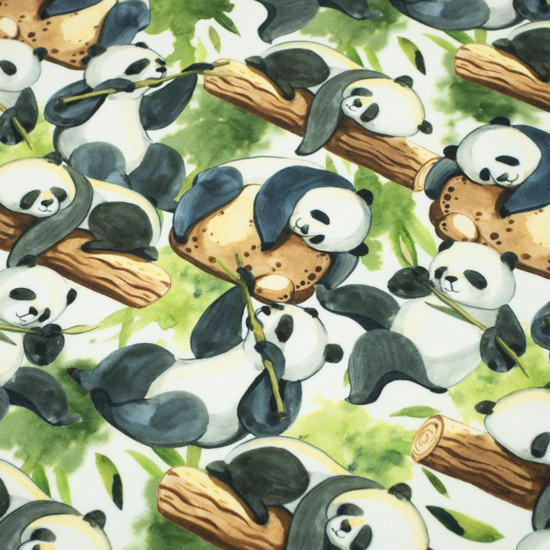 PANDAS ON BAMBOO - softshell