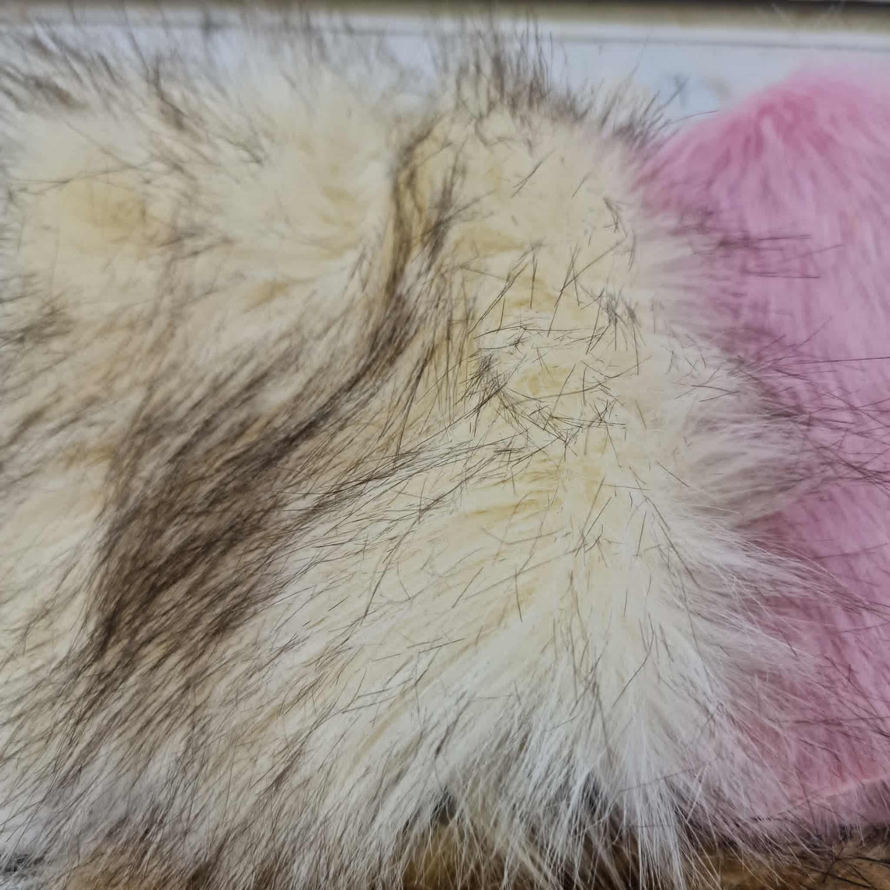 Bundle of Faux Fur Pieces PAT. 3