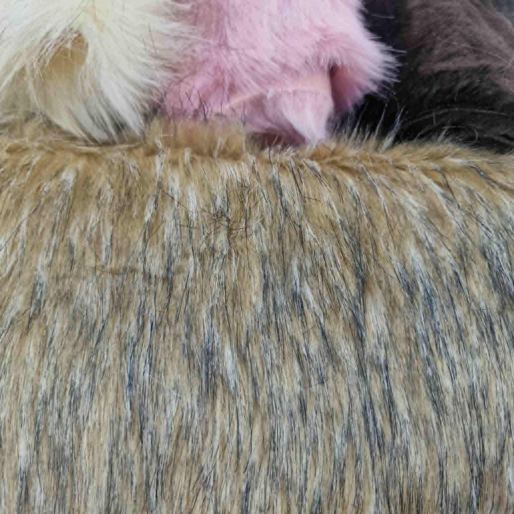 Bundle of Faux Fur Pieces PAT. 3