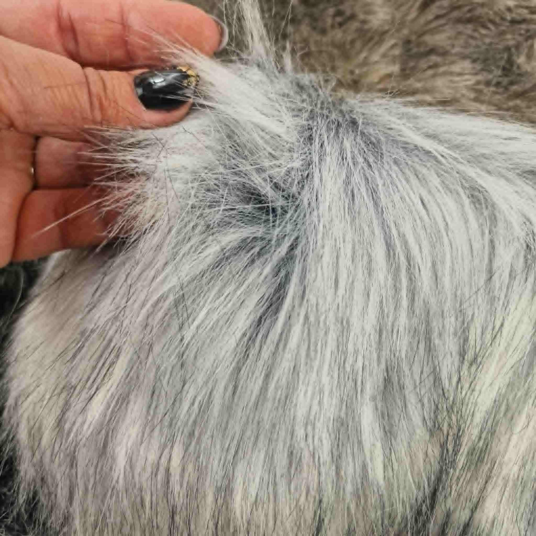 Bundle of Faux Fur Pieces PAT. 7