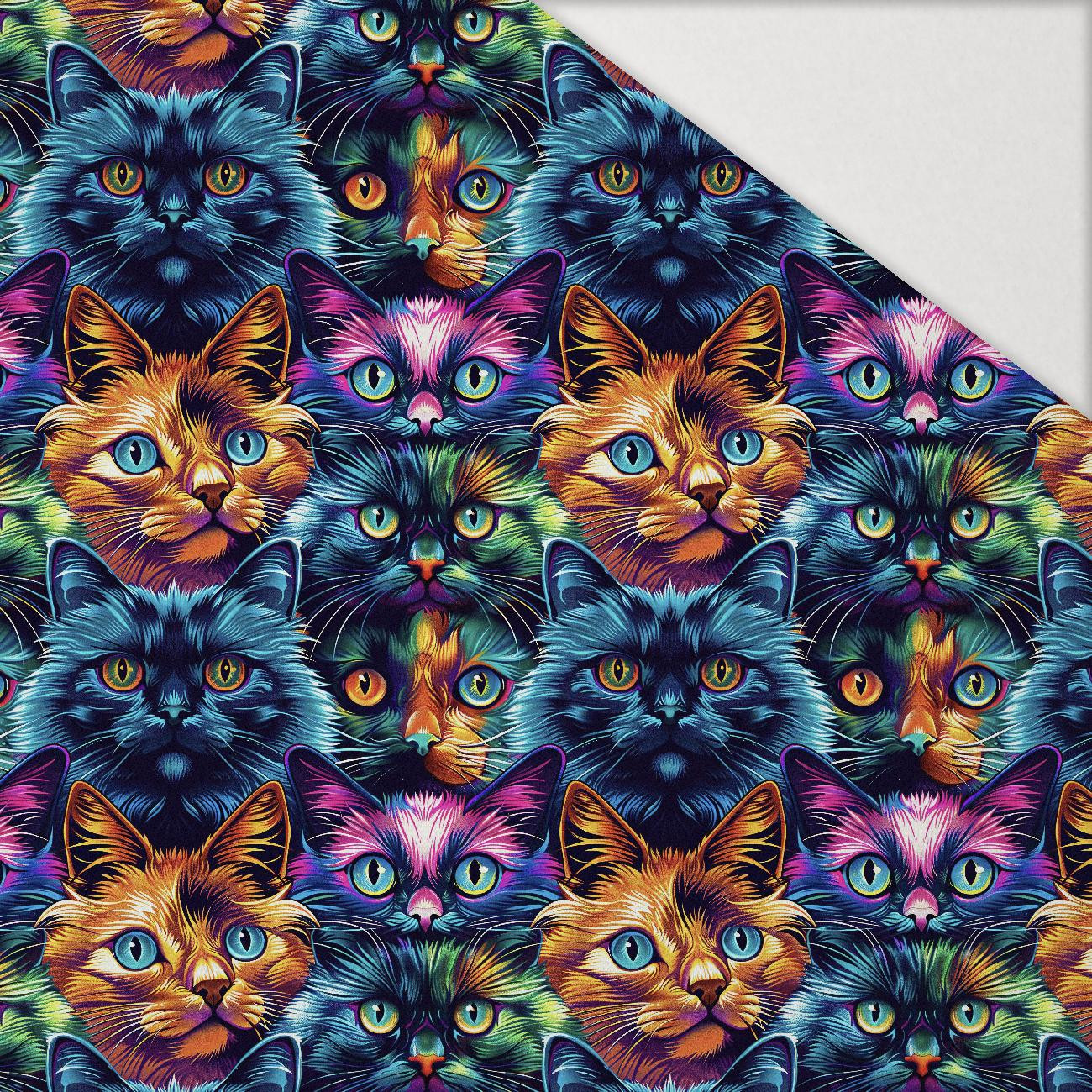 COLORFUL CATS mini - Hydrophobic brushed knit COLORFUL CATS mini - Hydrophobic brushed knit