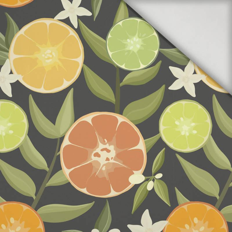 CITRUS no. 2 / graphite - swimsuit lycra