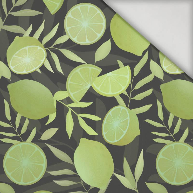 LIMES / graphite - swimsuit lycra