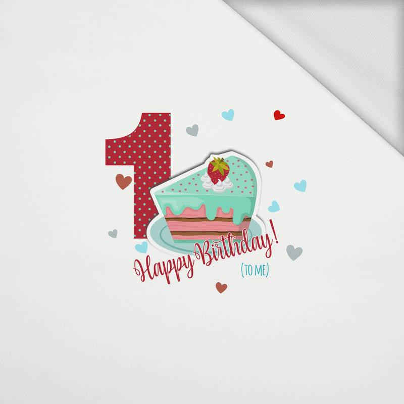 1ST BIRTHDAY / BIRTHDAY CAKE - panel looped knit 