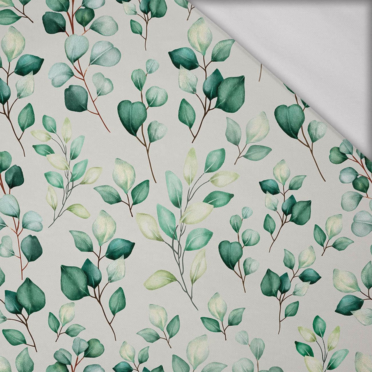 EUCALYPTUS - Cotton interlock